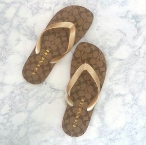 zak flip flop coach